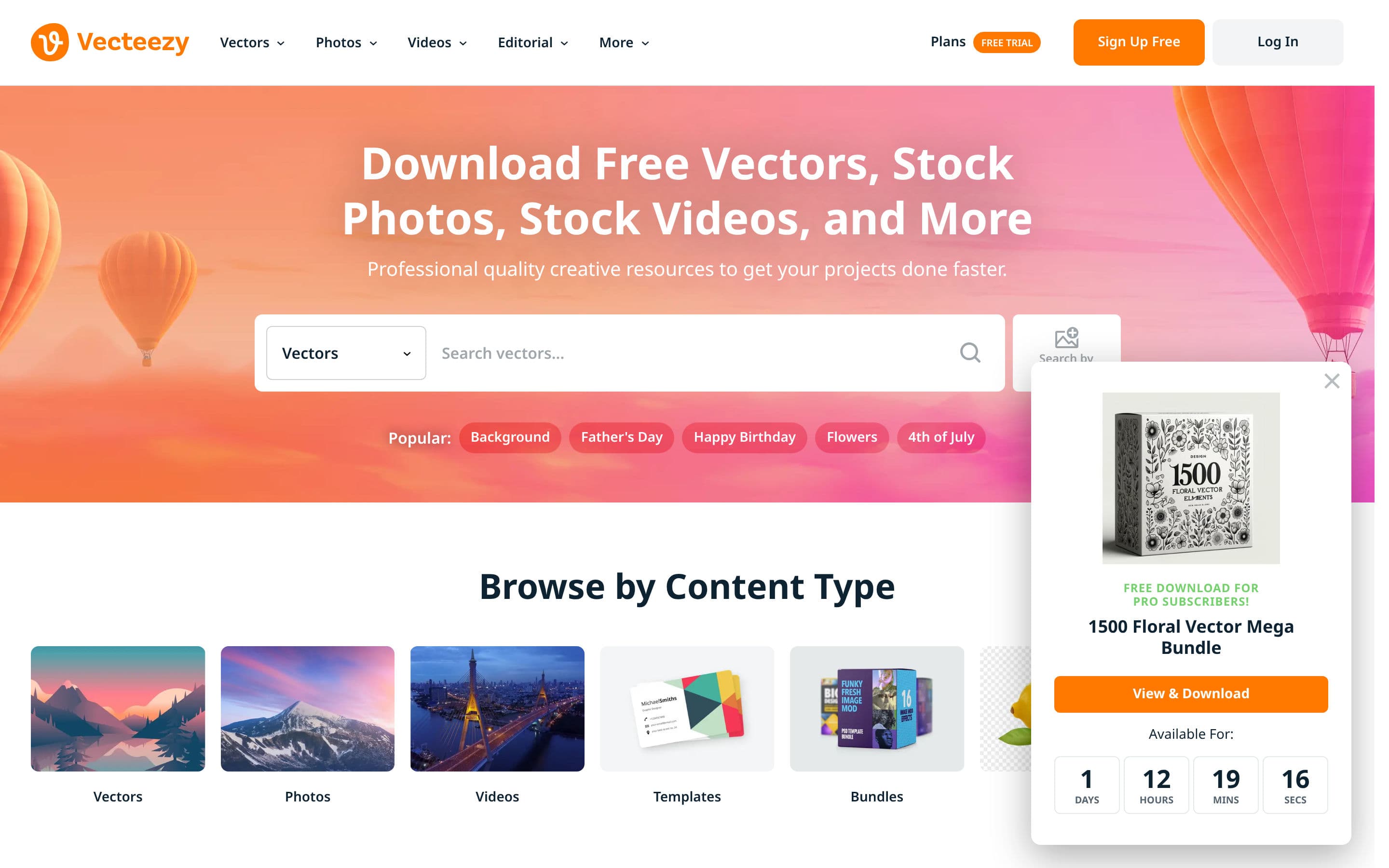 Top performer in Online Marketplace: vecteezy