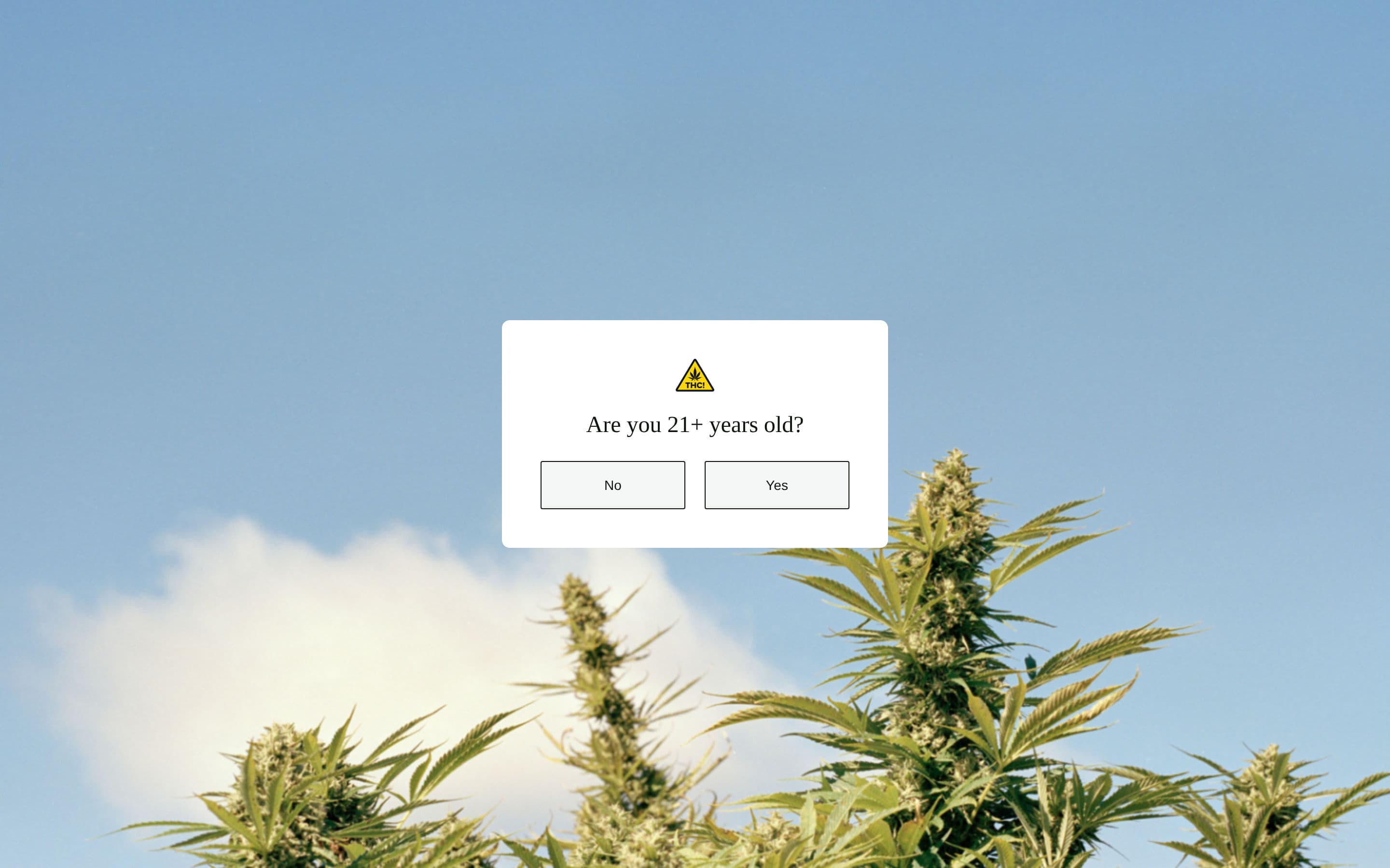 Top performer in Health: hudson cannabis